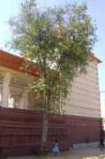 panoramio.com Vilvam