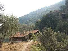 Vinazza