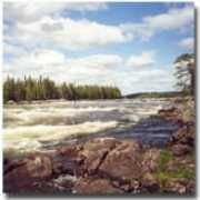 budget-angler.com Vindel