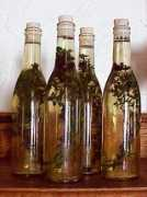 weirdworm.com Vinegar