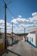 Vinha