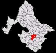 vinju-mare.ro Vinju