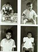 andespressagency.com Vinojan