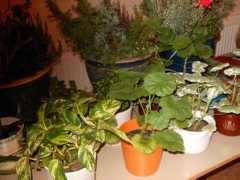blogg.vk.se Vinster