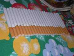 Vinte