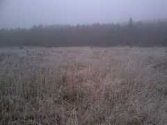 dayviews.com Vinter