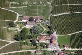 swisscastles.ch Vinzel