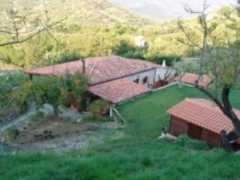 paradizo.com Vinzia