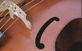 Viol