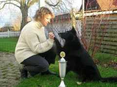 ateell.se Violar