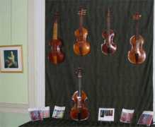 Violes