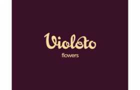 Violeto