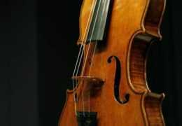 24ur.com Violina