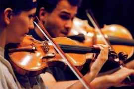 medimanage.com Violins