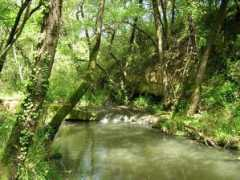 panoramio.com Vionne