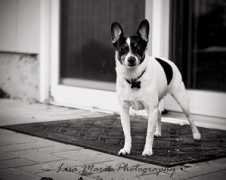 blog.lisavioxphotography.com Viox