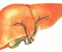 inerboristeria.com Virale