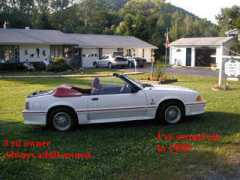 stangbangers.com Virdel