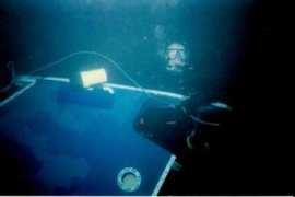 divemaster.ca Virdell