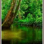 fotoblur.com Virgiawan
