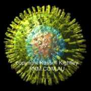 rkm.com.au Virion