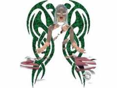the.fischerman.ch Virj