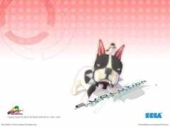 wallhits.com Virtua