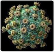topnews.in Viruses