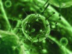 topnews.in Viruses