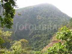 fotolibra.com Vishwanadula