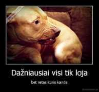Visi
