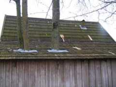 foto.delfi.lt Viskam