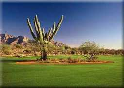 catalinalodgingtucson.com Vistoso