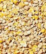 skattarat.co.uk Vitalin