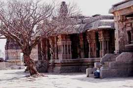 travel.paintedstork.com Vithala