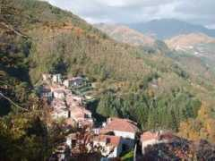 contadolucchese.it Vitiana