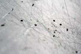 imagens.n3po.com Vitimas