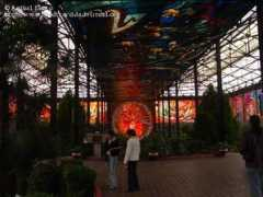 biodiversidadvirtual.org Vitral