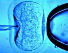 Vitro