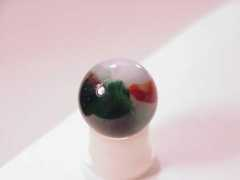 Vitro