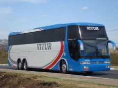 Vitur