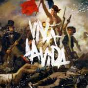 fungur.com Vivalavida