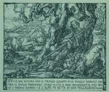 sanpellegrino.org Vivena
