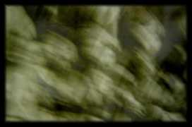 psart.blogs.sudouest.fr Vivent