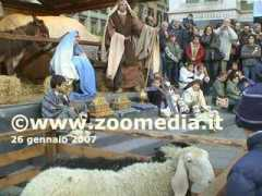 zoomedia.it Vivente