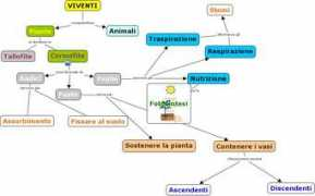 nataliavisalli.it Viventi
