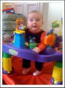 Vivie