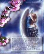 Vivile