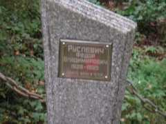 stephengreenslade.com Vladimirovich