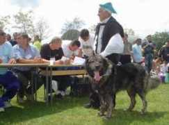 hirtenhunde-liptak.de Vllaznim